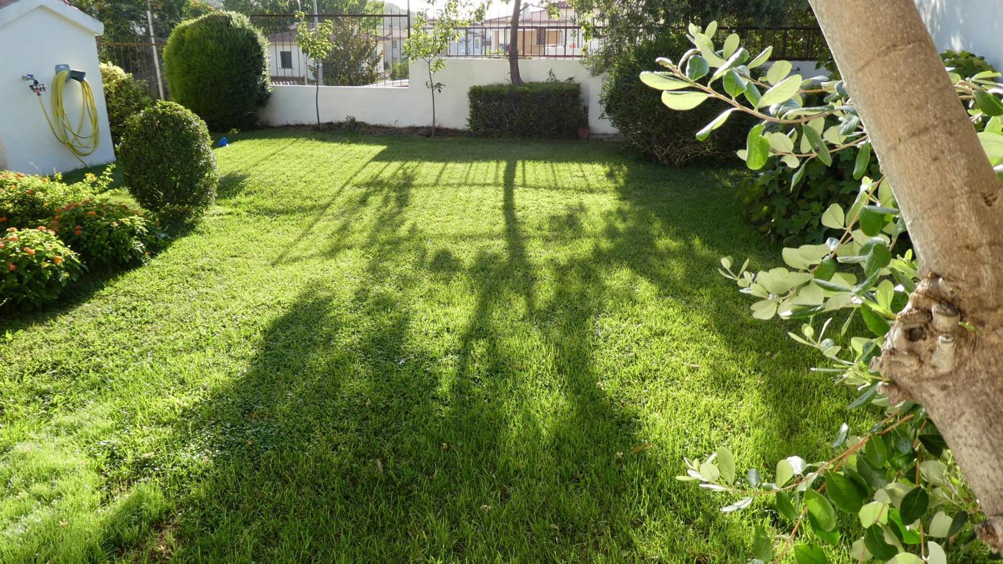 B&B אוליאנה מראה חיצוני תמונה