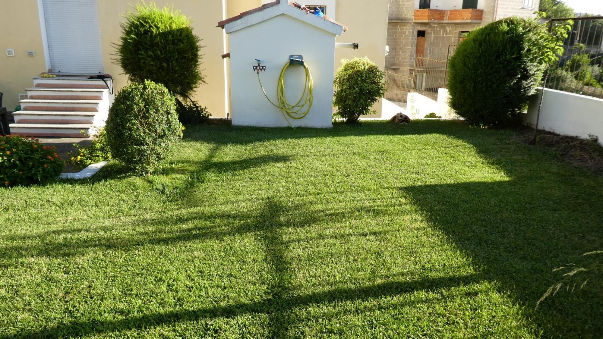 B&B אוליאנה מראה חיצוני תמונה